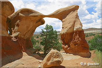 Blick durch die Metate Arch